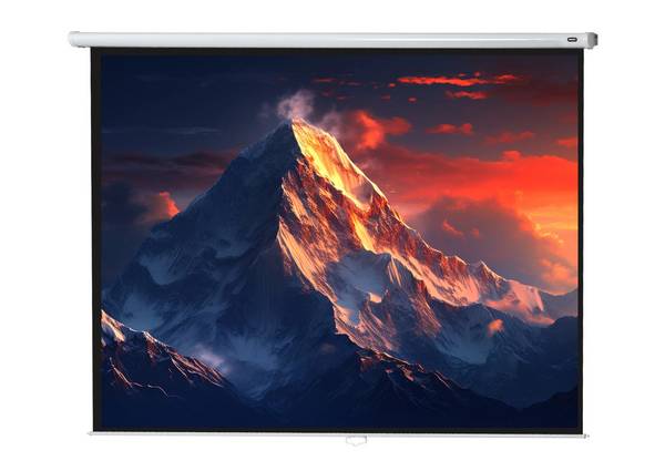 celexon Leinwand Rollo Economy 280 x 210 cm - 138"