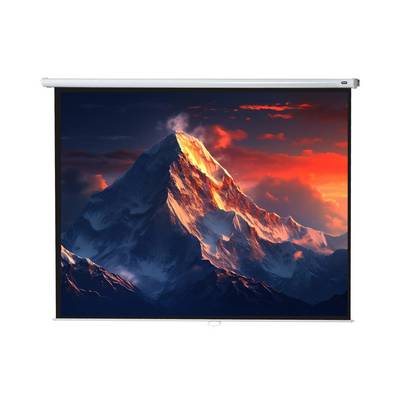 celexon Leinwand Rollo Economy 280 x 210 cm - 138"-0
