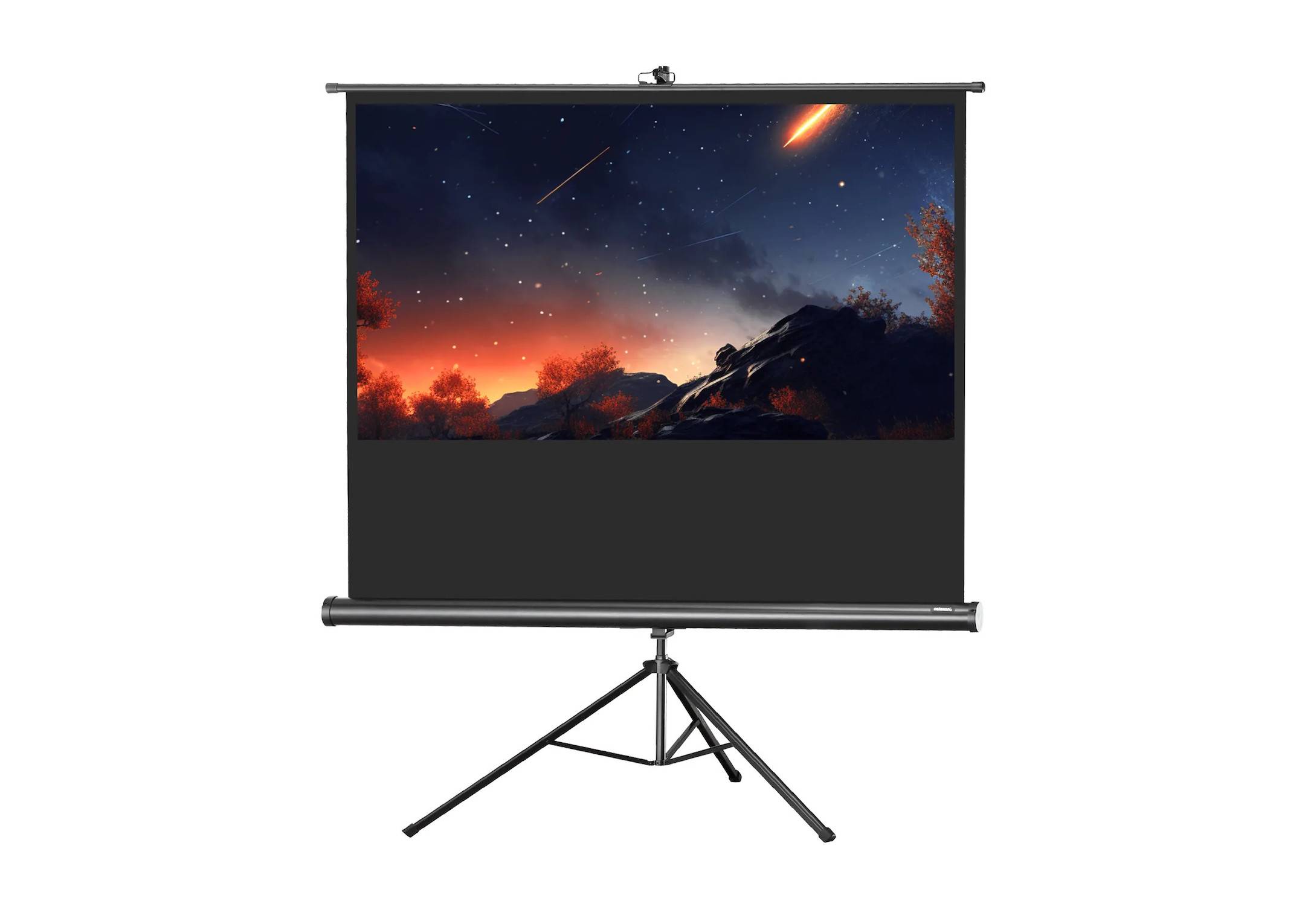 celexon Stativleinwand Economy 244 x 138 cm-0