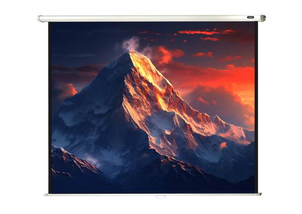 celexon Leinwand Rollo Economy 200 x 150 cm - 98"