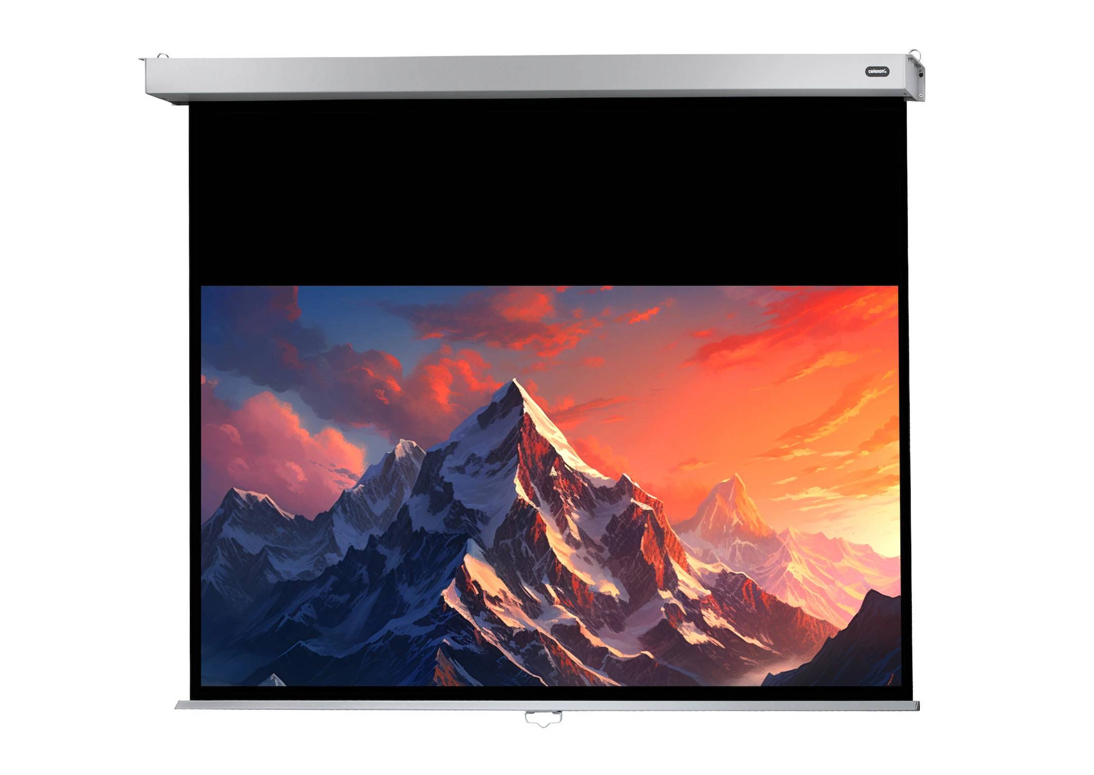 celexon Leinwand Rollo Professional Plus 220 x 124 cm - 99"-0