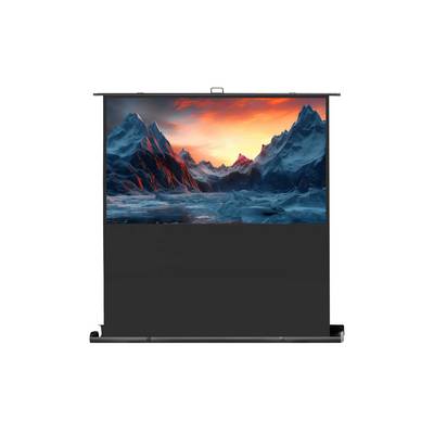 celexon Leinwand Ultramobil Professional Plus 200 x 113 cm - 90"-0