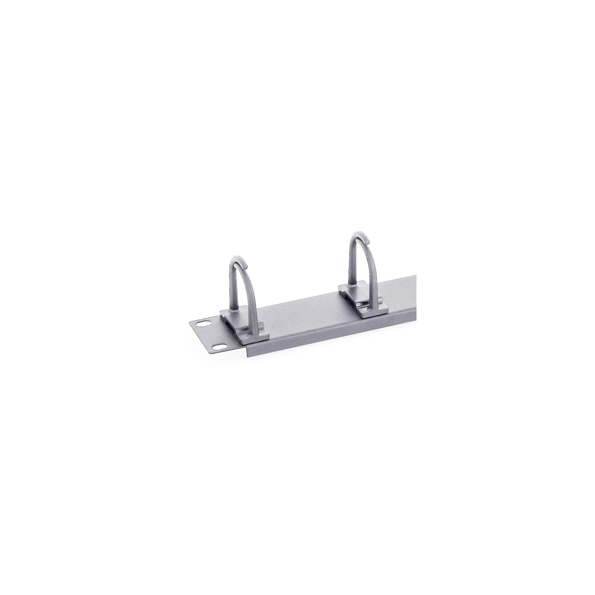 Triton - Rack-Kabelmanagementring (horizontal) - RAL 7035 - 1U - 48.3 cm (19"")-1
