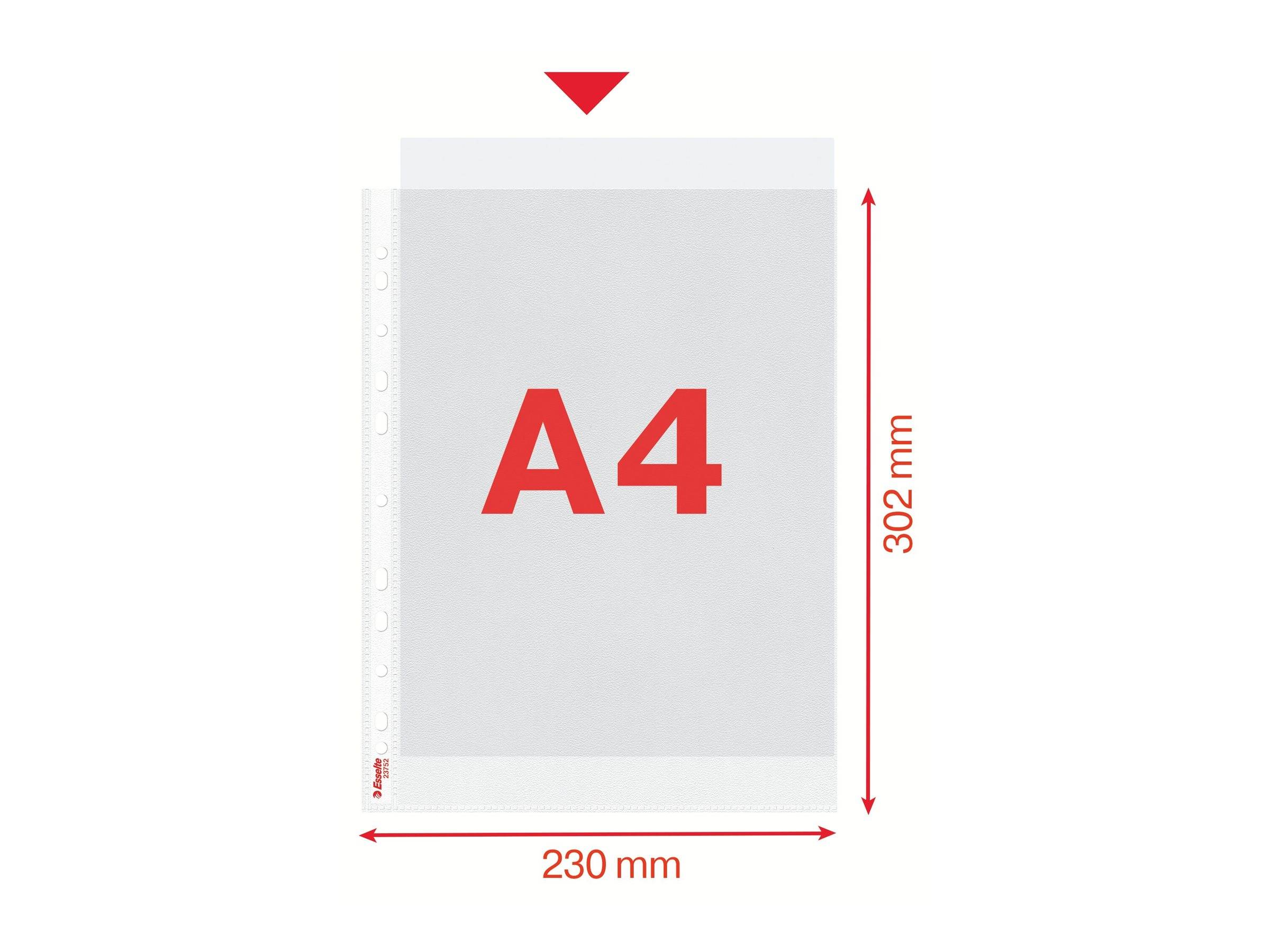 ESSELTE LEITZ - Esselte - Schutzhülle - für A4 (210 x 297 mm) - Kapazität: 30 Blätter (Packung mit 100)-1