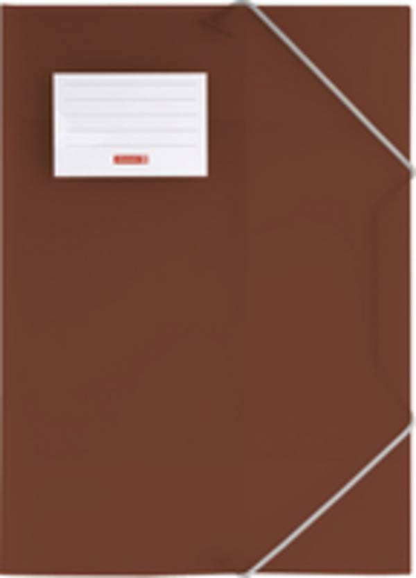 BRUNNEN - Sammelmappe FACT!pp DIN A4 braun transparent