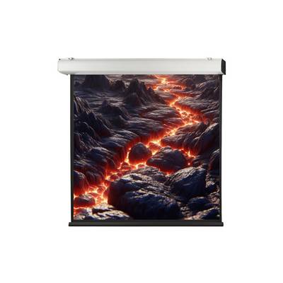 celexon Leinwand Motor Expert XL 400 x 400 cm-0