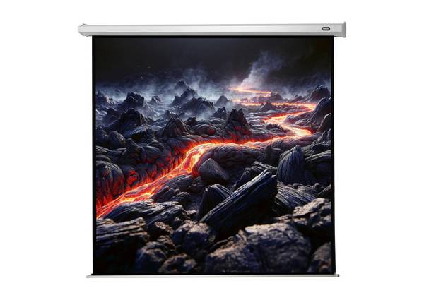 celexon Leinwand Motor Economy 280 x 280 cm