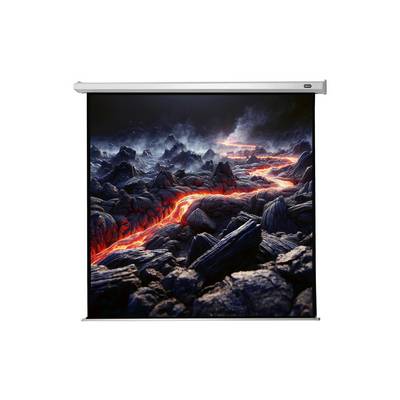 celexon Leinwand Motor Economy 280 x 280 cm-0