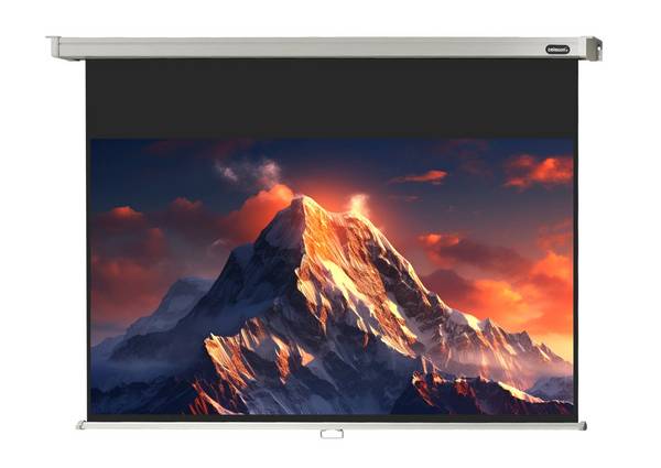 celexon Leinwand Rollo Professional 280 x 158 cm - 127"