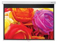 Optoma DS-1095PMG+ - Leinwand - Deckenmontage möglich, geeignet für Wandmontage-2