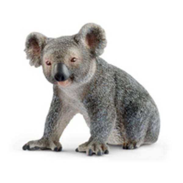 schleich WILD LIFE Koala, 3 Jahr(e), Mehrfarbig, Kunststoff, 1 Stück(e)