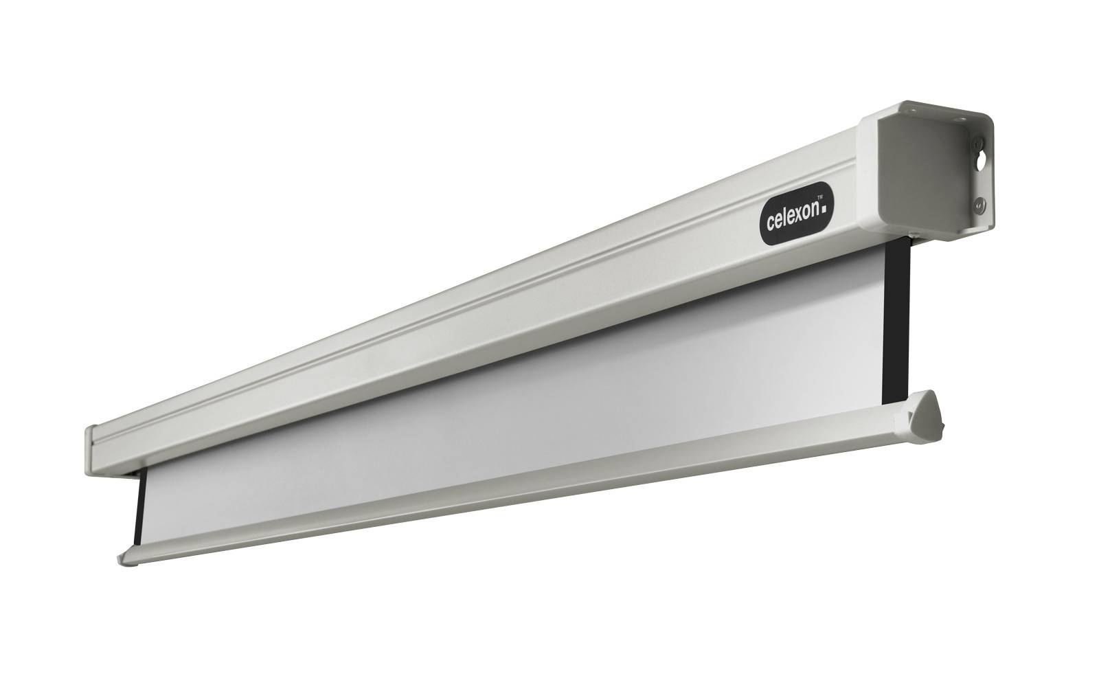 celexon Leinwand Motor Professional 280 x 280 cm-3
