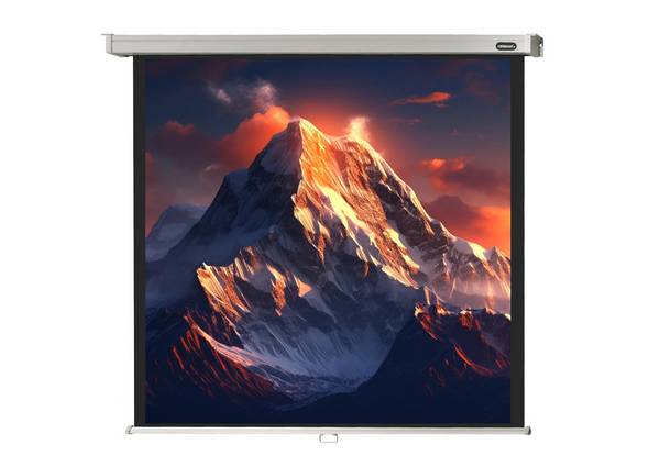 celexon Leinwand Rollo Professional 240 x 240 cm - 134"