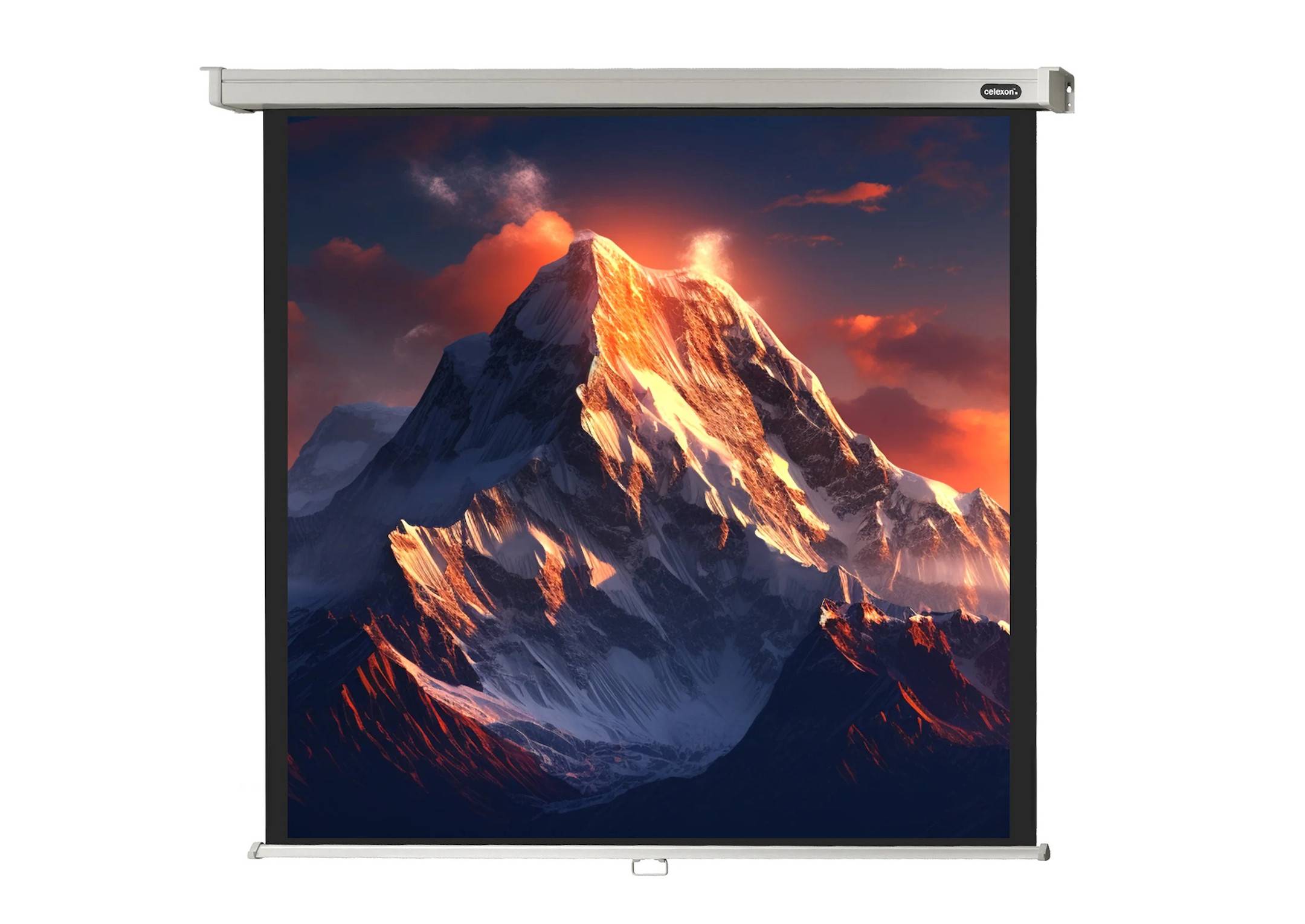celexon Leinwand Rollo Professional 240 x 240 cm - 134"-0