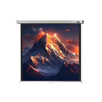 celexon Leinwand Rollo Professional 240 x 240 cm - 134"-0