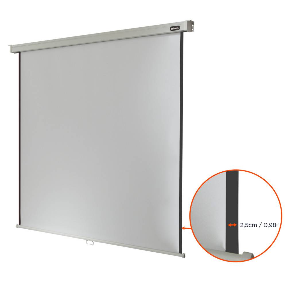 celexon Leinwand Rollo Professional 240 x 240 cm - 134"-2