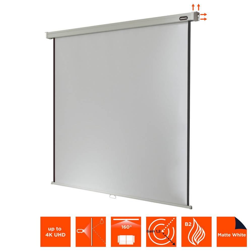celexon Leinwand Rollo Professional 240 x 240 cm - 134"-3