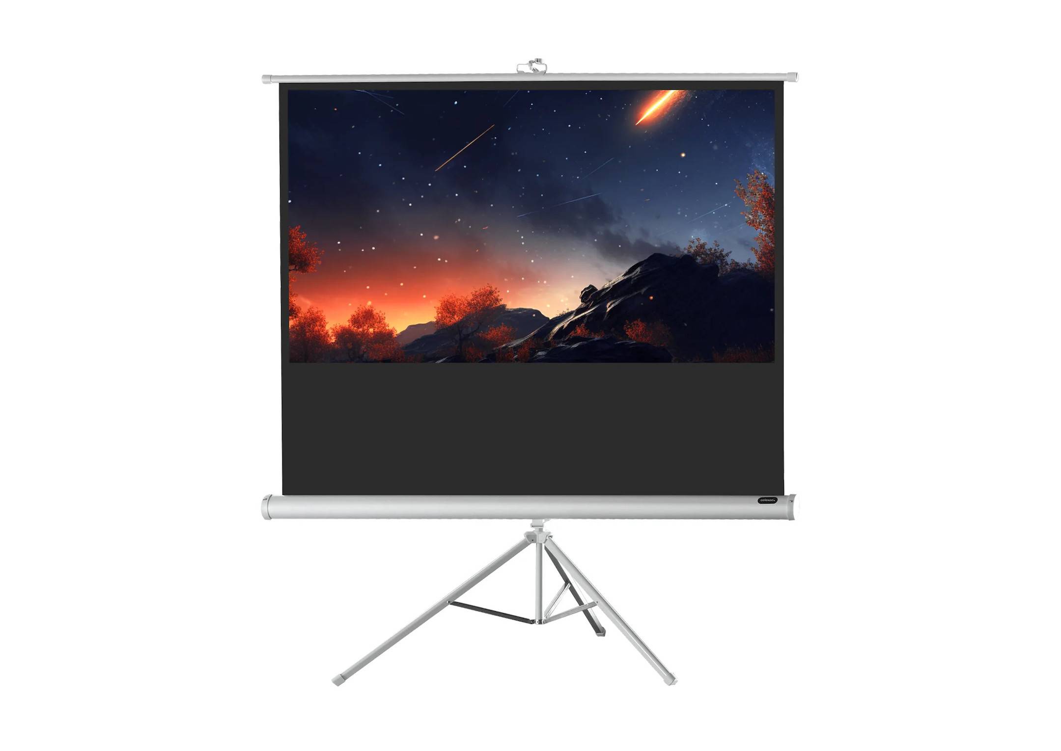 celexon Stativleinwand Economy 133 x 75 cm - White Edition-0