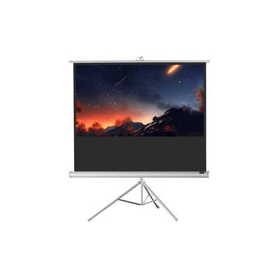 celexon Stativleinwand Economy 133 x 75 cm - White Edition-0