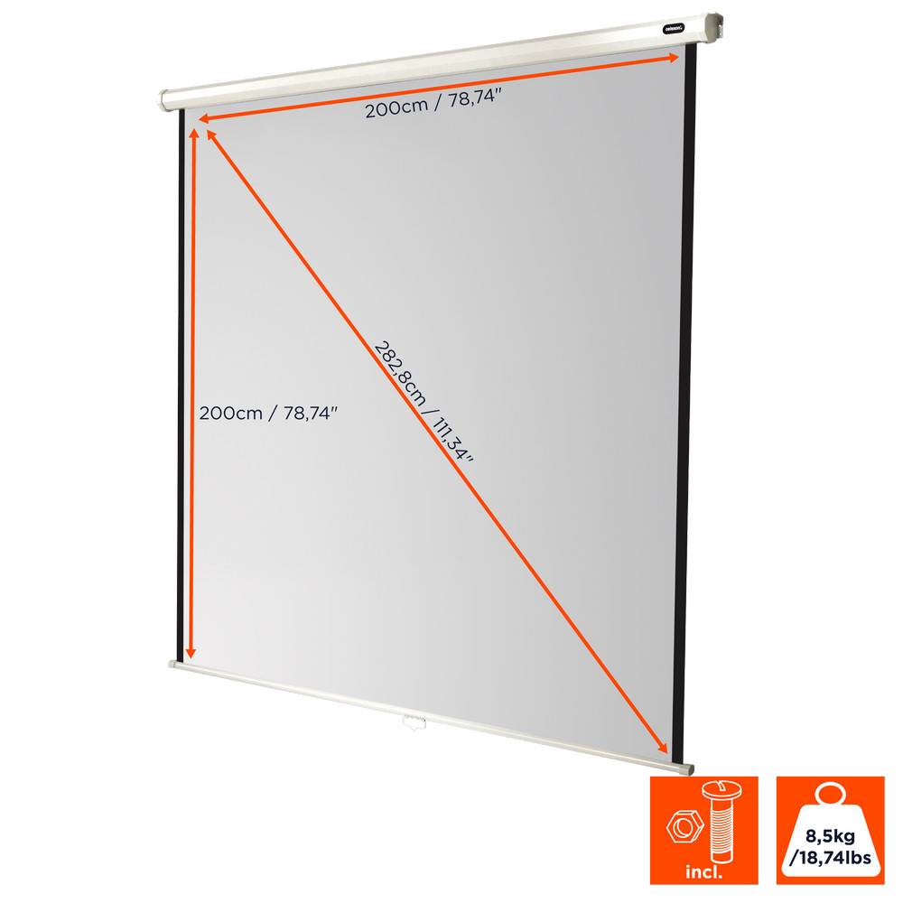 celexon Leinwand Rollo Economy 200 x 200 cm - 111"-1