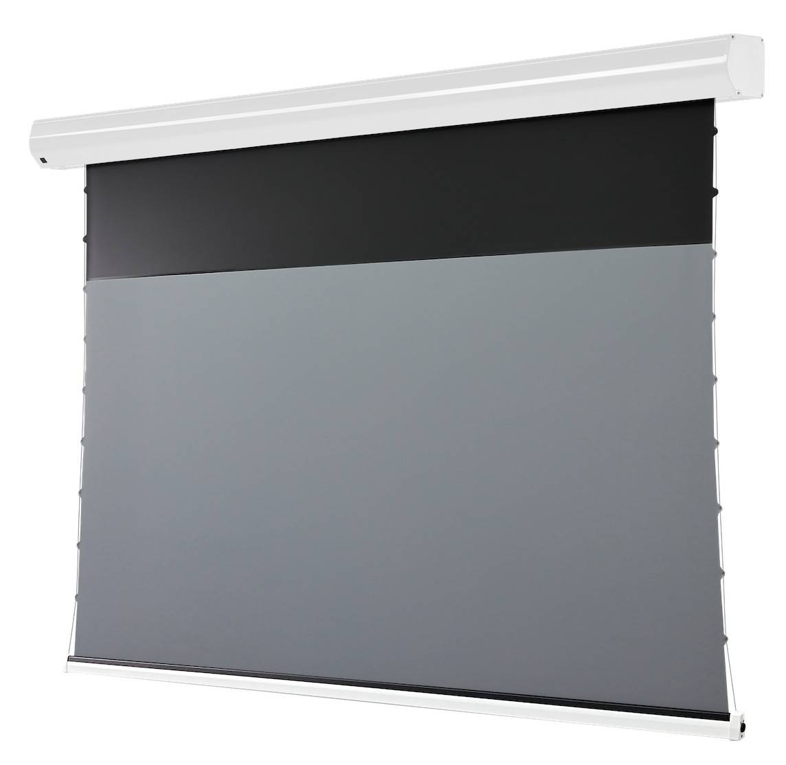 celexon Leinwand Motor HomeCinema Plus Tension - CLR UST, 100" weiß-1
