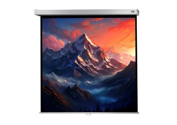 celexon Leinwand Rollo Professional Plus 240 x 240 cm - 134"