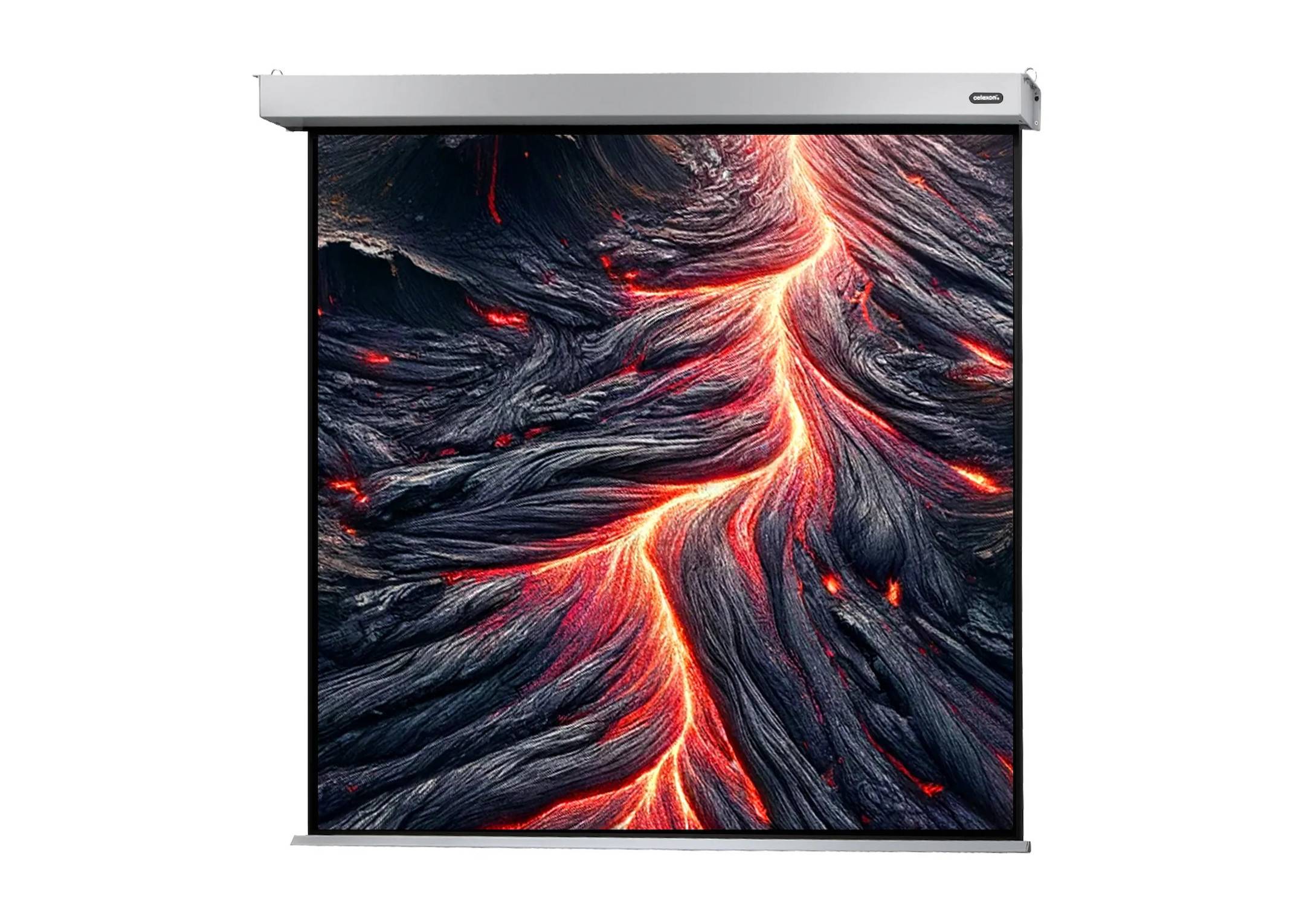 celexon Leinwand Motor Professional Plus 200 x 200 cm-0