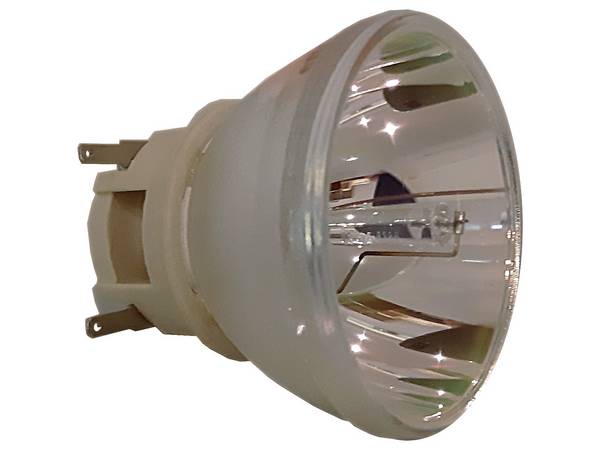 PHILIPS Beamerlampe für ACER UC.JR711.002, MC.JR711.008