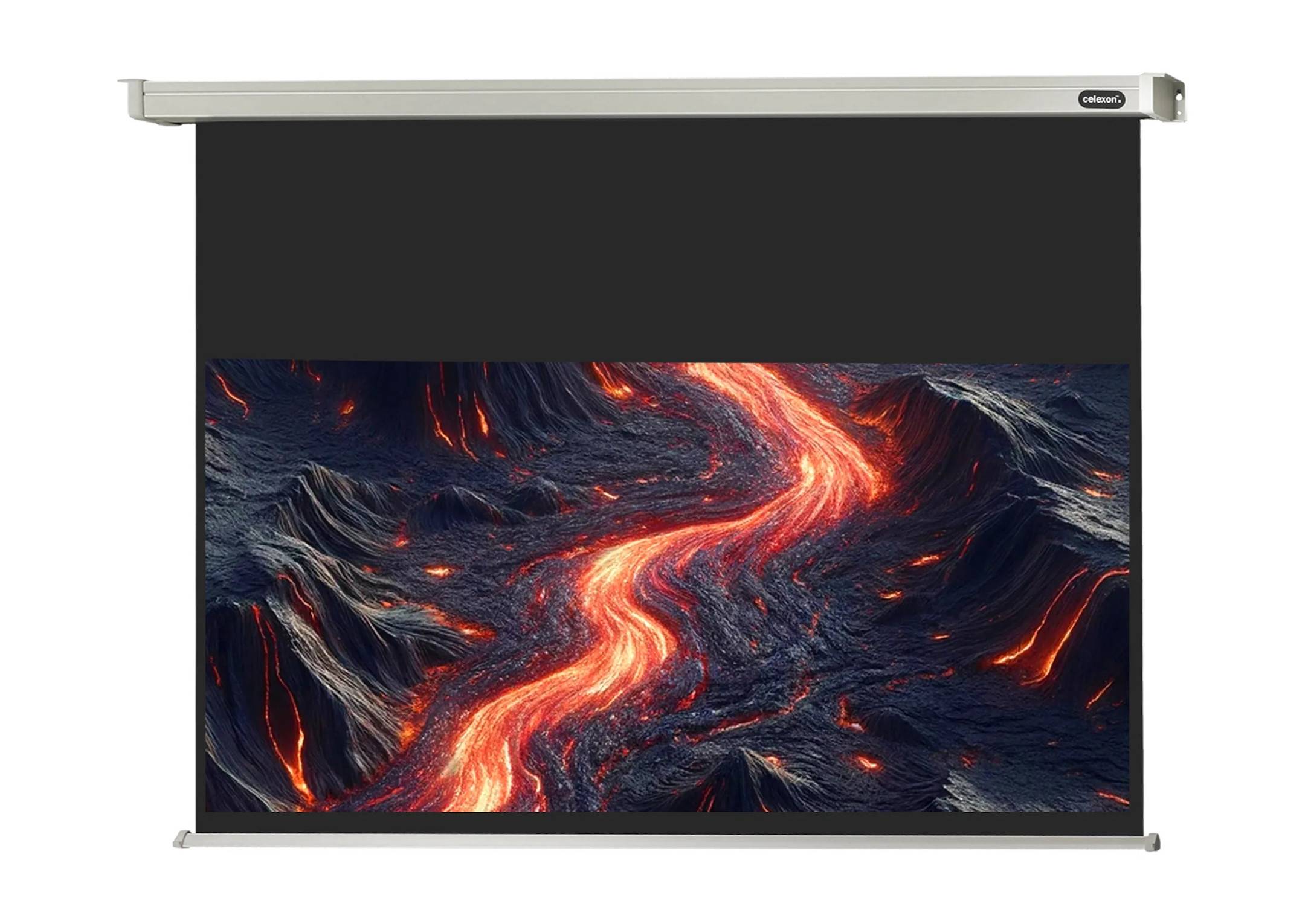 celexon Leinwand Motor Professional 220 x 124 cm-0