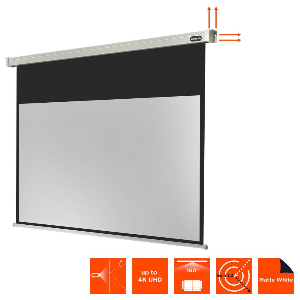 celexon Leinwand Motor Professional 220 x 124 cm-3