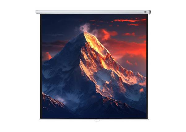 celexon Leinwand Rollo Economy 300 x 300 cm - 167"