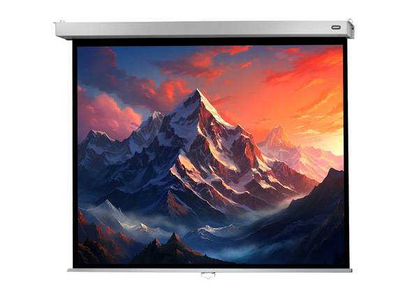 celexon Leinwand Rollo Professional Plus 240 x 180 cm - 118"