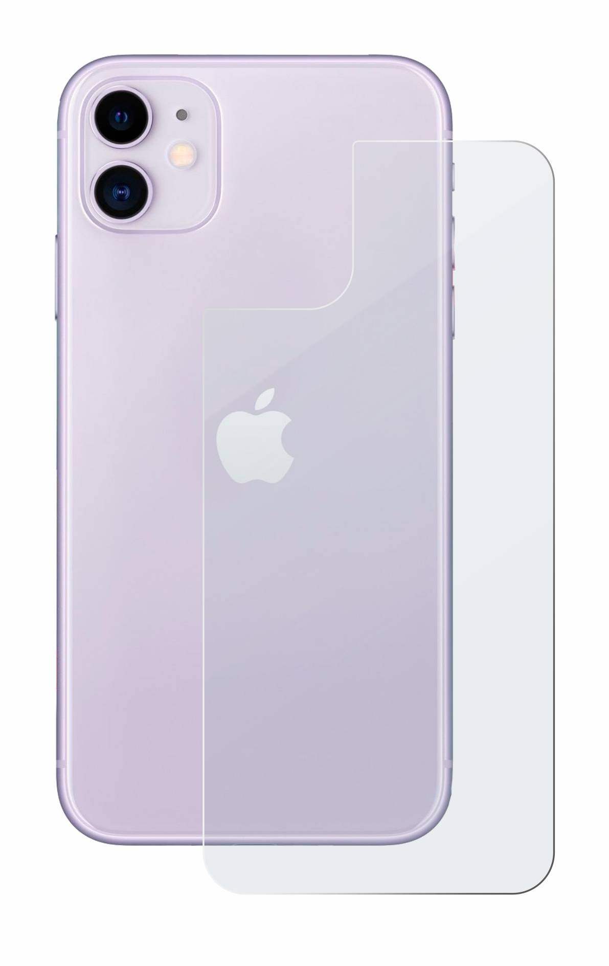 upscreen Flexible Panzerglasfolie für Apple iPhone 11 (Rückseite) Schutzglas 9H Hybridglas Matt Entspiegelt-3