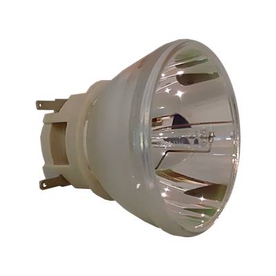 PHILIPS Beamerlampe für OPTOMA SP.7G6R1GR01, BL-FU240E, BL-FU240K