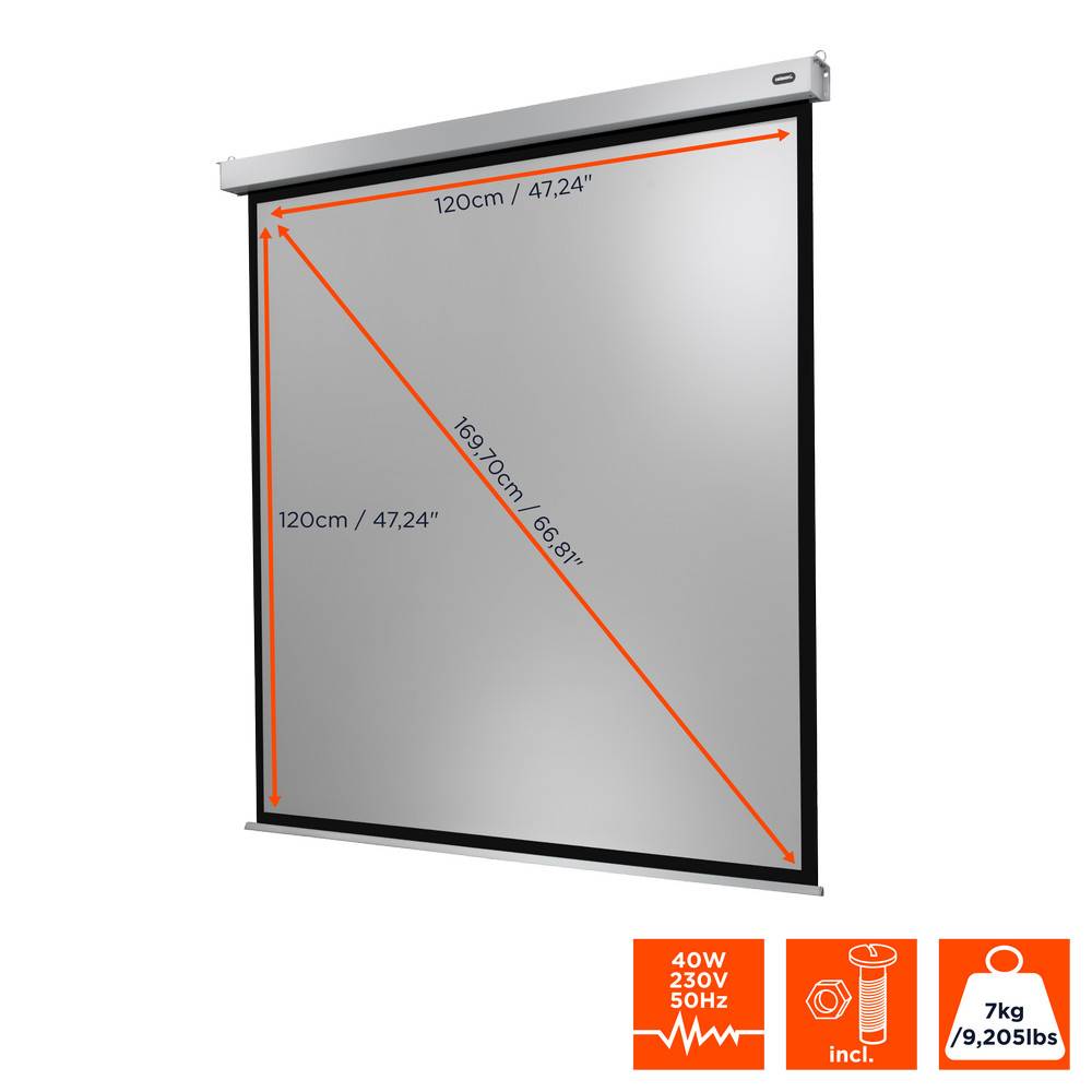celexon Leinwand Motor Professional Plus 120 x 120 cm-2