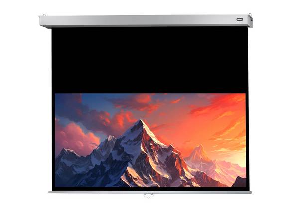 celexon Leinwand Rollo Professional Plus 300 x 187 cm - 139"