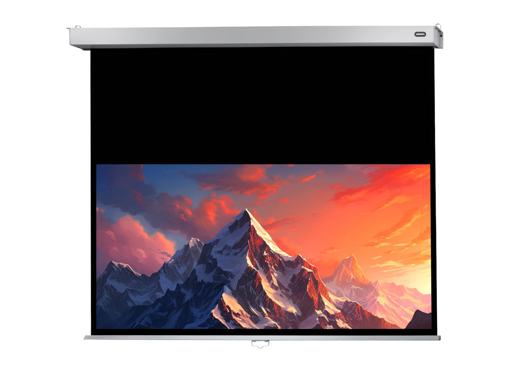 celexon Leinwand Rollo Professional Plus 220 x 137 cm - 102"-0
