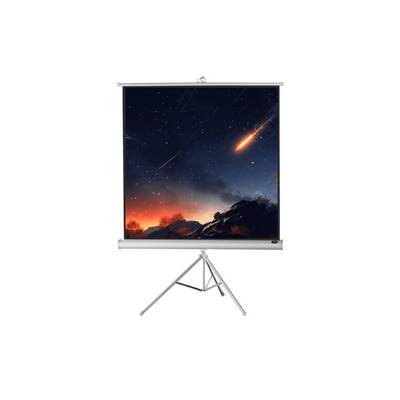 celexon Stativleinwand Economy 184 x 184 cm - White Edition-0