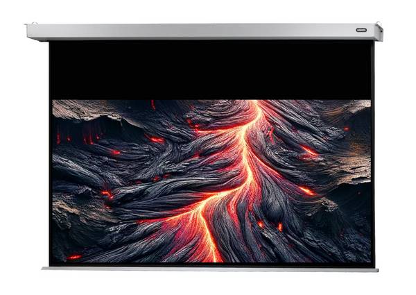 celexon Leinwand Motor Professional Plus 300 x 187 cm