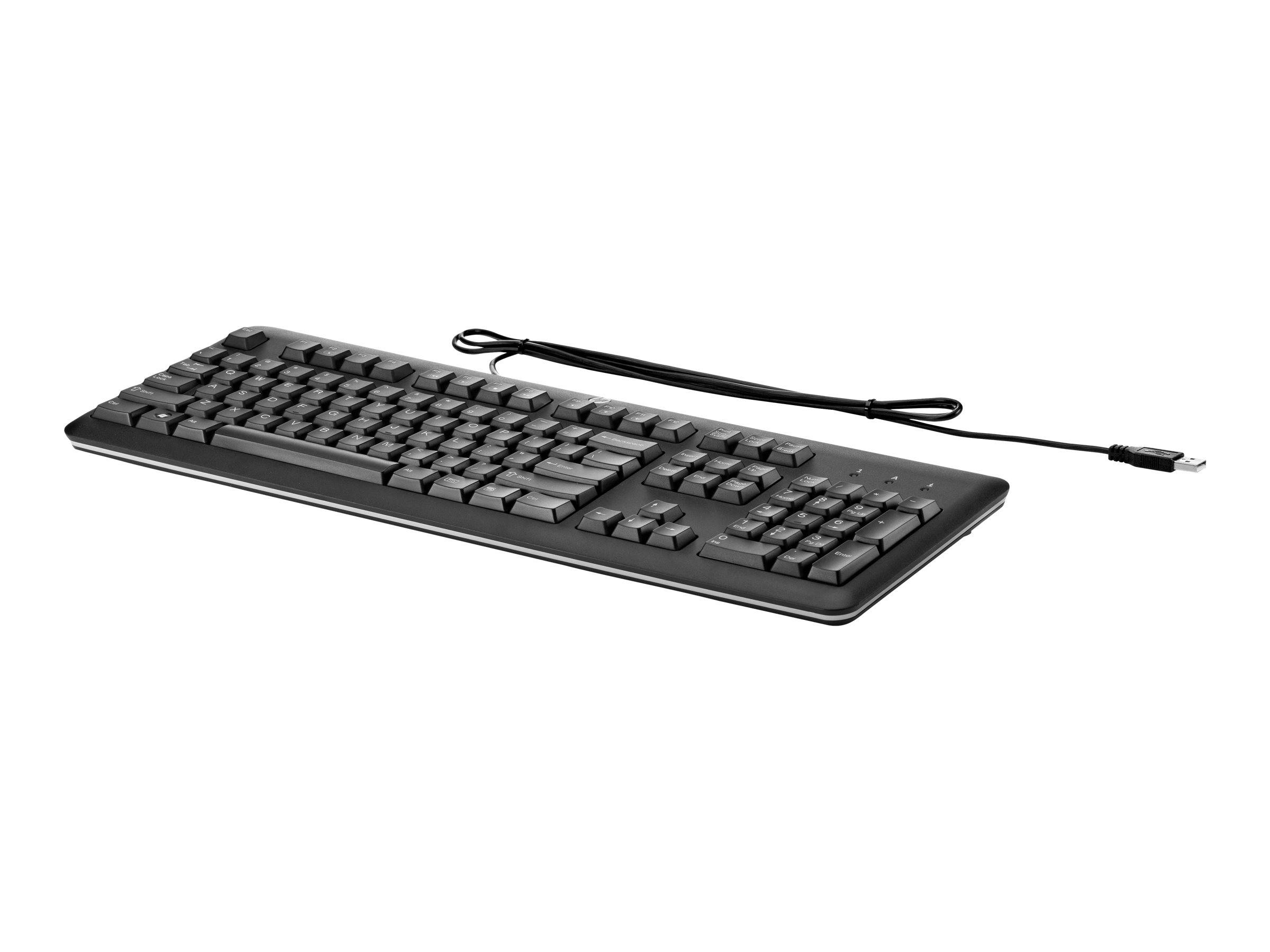 HP Tastatur - USB - TL: CZ/SK, QWERTY-0