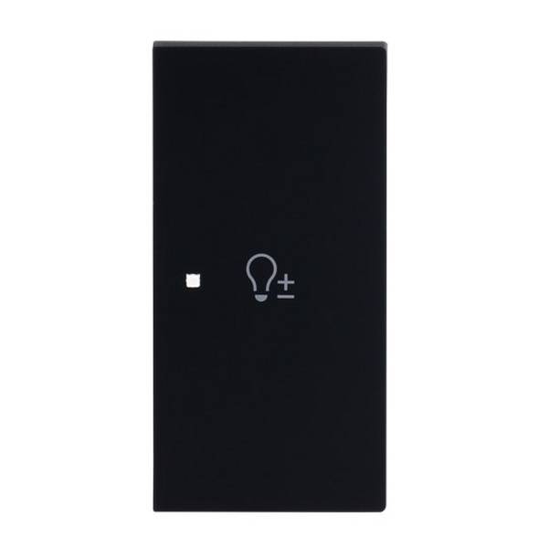 BJ Wippe 2-fach rechts 6234-22-45M m.Symbol "Dimmer"