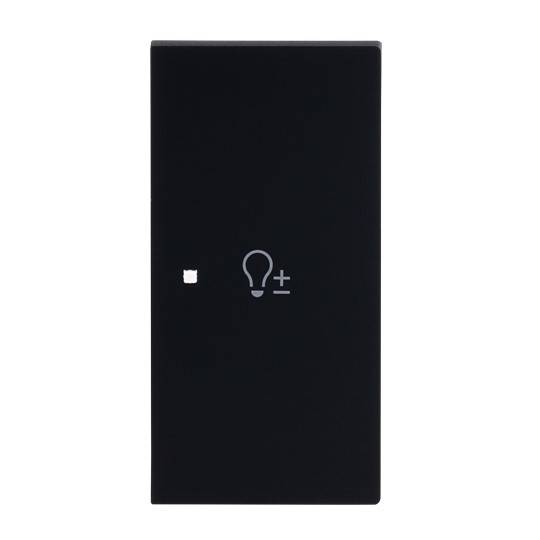 BJ Wippe 2-fach rechts 6234-22-45M m.Symbol "Dimmer"-0