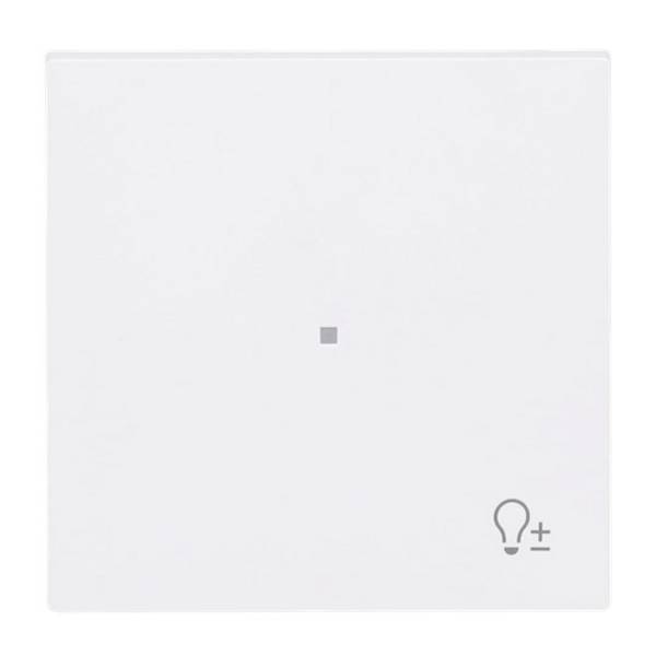 BJ Wippe 1-fach m.Symbol 6234-10-44M "Dimmer"