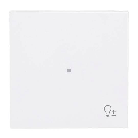 BJ Wippe 1-fach m.Symbol 6234-10-44M "Dimmer"-0