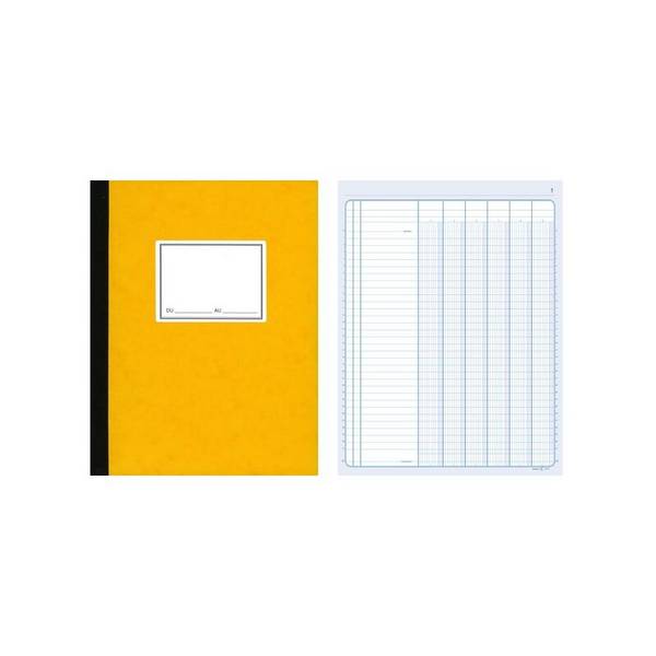ELVE Piqûre comptable à colonnes, 310 x 210 mm, 100 pages