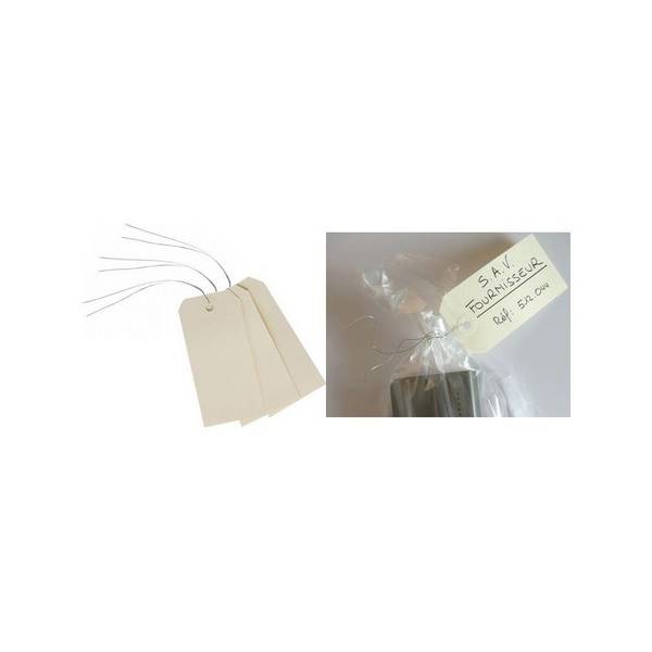 AVERY Gepäckanhänger, 120 x 60 mm, neutral, mit Draht (72175410)