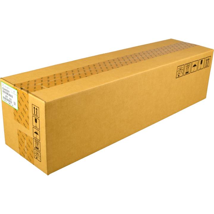 Ricoh Developer D2443021 cyan OEM-0