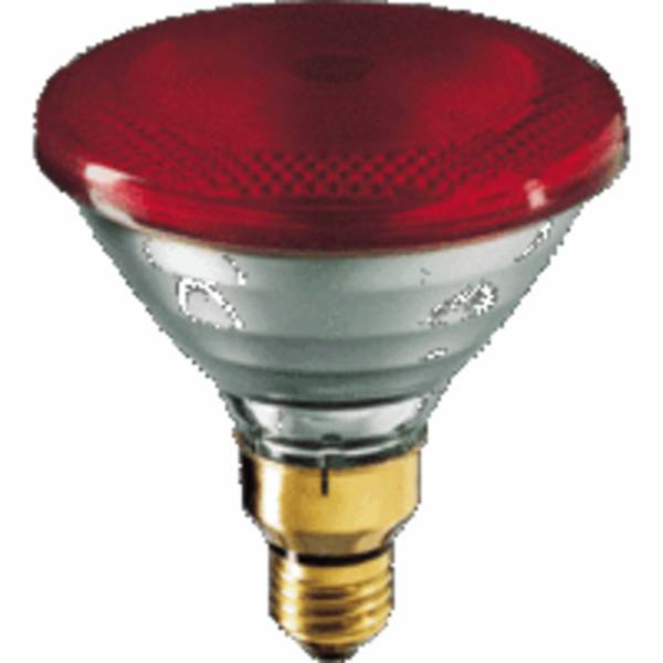 Philips PAR38 IR 100W E27 230V Red