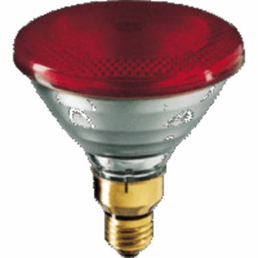 Philips PAR38 IR 100W E27 230V Red