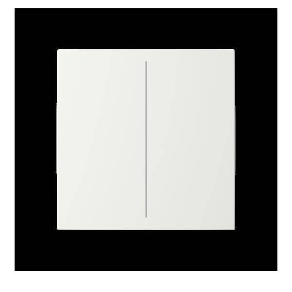Busch-Jaeger Abdeckung, 2fach für Keypad LFW/A.2.55.11-914